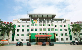 心系故土 實(shí)業(yè)救國 華僑與儋州近代開發(fā)