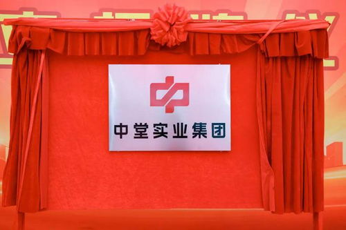 高質量發展新征程 中堂實業集團揭牌成立，百墩實業開啟新篇章