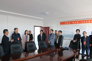 縣人大常委會視察全縣交通工作，聚焦百墩實業發展成效